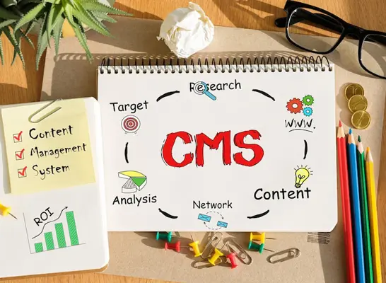CMS Development